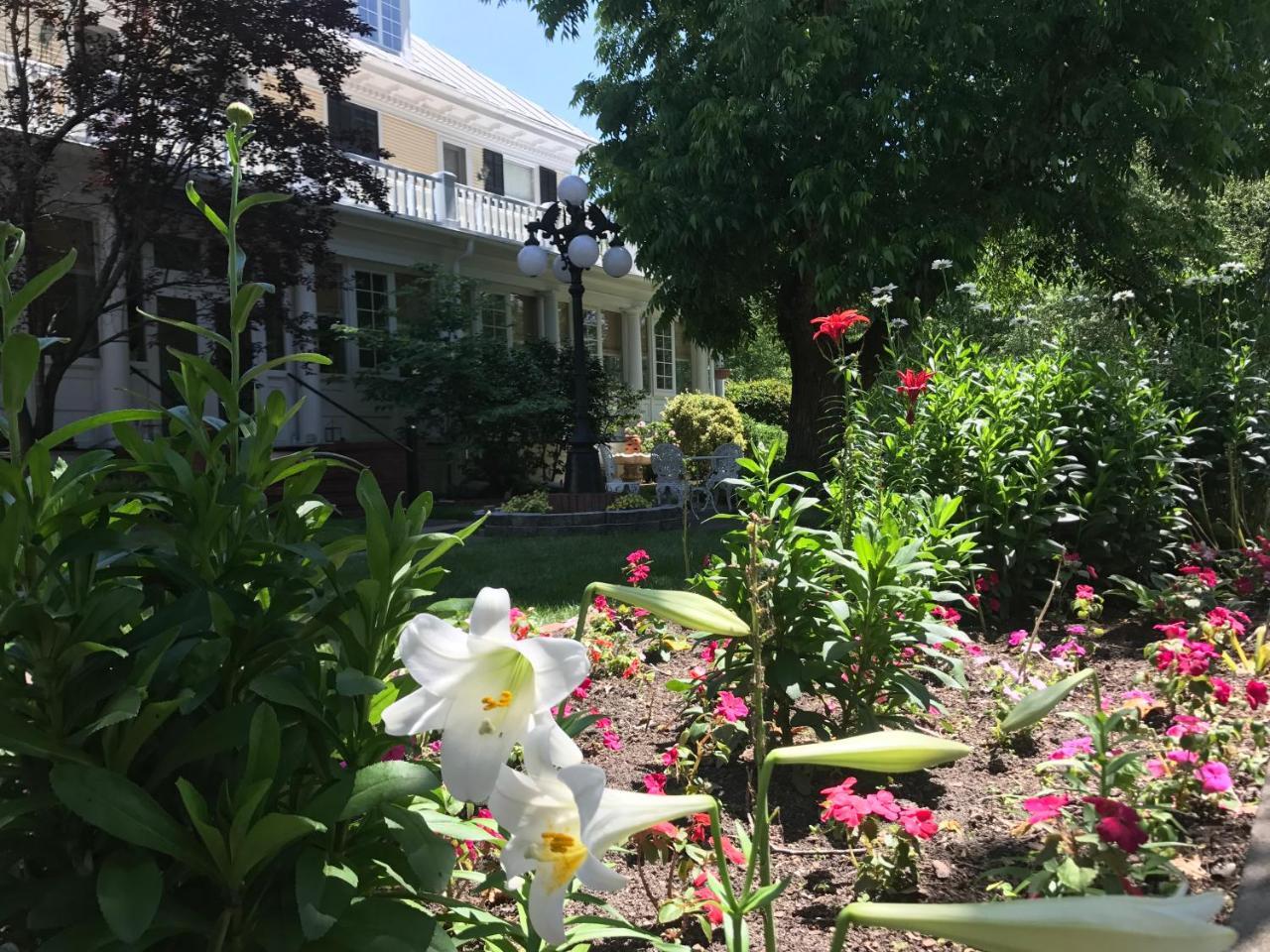 The Edenton Collection-The Granville Queen Inn المظهر الخارجي الصورة